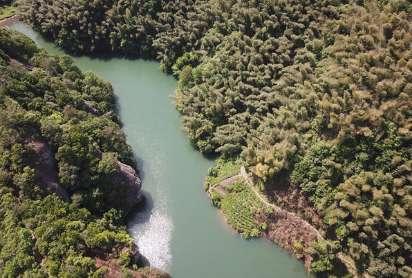 �������к�ȥ�� ���塰®���ɾ�������