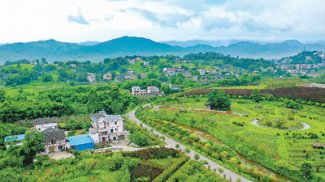 ������԰ �������