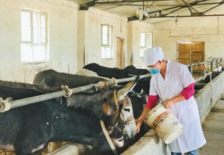 �������߱主���ҵ