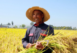 ��ƽ���ķ��� ����д�ڵ�����ũ����սڵ���֮��