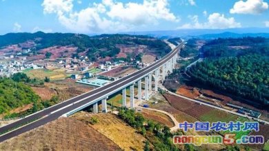 �������գ����������ҵ�ṹ�Ż��������� ������ɫ��ҵ��Ŀ