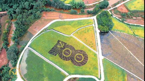 稻香鱼肥金秋季 欢声笑语庆丰收