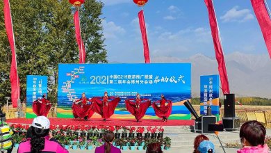 ԼοȪG219ƹ˵ڶᲩݷֻ᳡