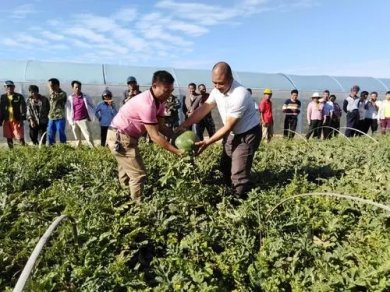 ũԱ³һߣΪũָԤ̨ʩ