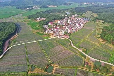 ݣɫũҵҵȺٽũҵ徭